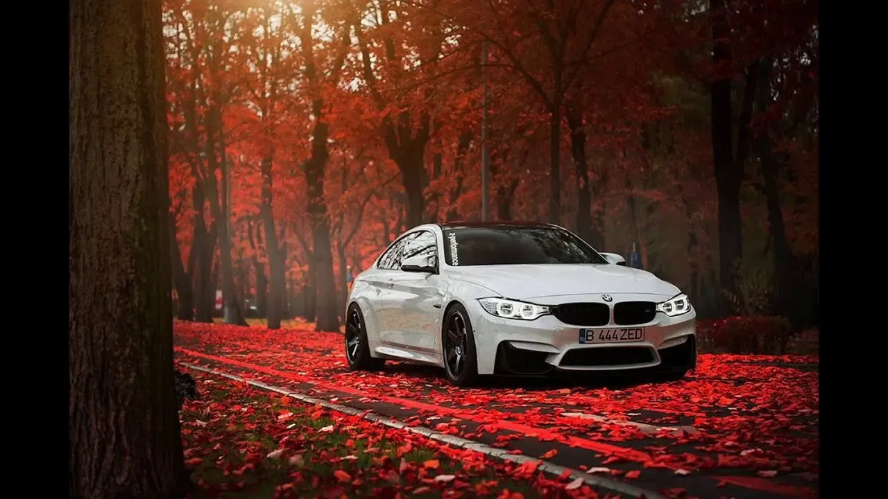 PTG- оф. дилер MG Flasher